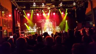 Wild Theme  dIRE sTRATS  Bonn 31032017 [upl. by Anialram]