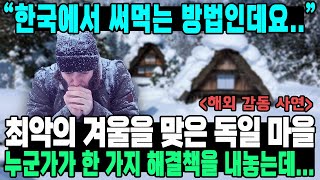 “한국에서 써먹는 방법인데요”최악의 겨울을 맞은 독일 마을누군가가 한 가지 해결책을 내놓는데 [upl. by Leinahtam]