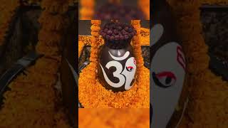 Lingashtakam 🌺🔱 whatsapp status  yt shorts video [upl. by Shedd]