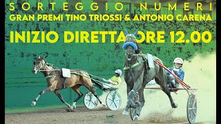 IPPODROMO CAPANNELLE SORTEGGIO NUMERI TRIOSSI E CARENA 6 NOVEMBRE 2024 [upl. by Lever]