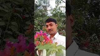 Ankhon se ankhe milne na denayoutube trending viral shortlove status Explained [upl. by Hadlee934]