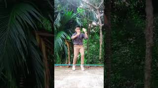 Sono Miya Sono Miya foryou youtubeshorts dance sorts dancing Video plzsubscribe [upl. by Nosnor738]