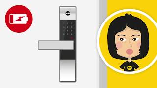 Yale Smart Locks  Low Battery Alert [upl. by Meurer]