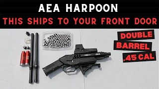 This AEA Harpoon Double Barrel 45 Caliber Pistol Shipped Straight To My Front Door Lets try it out [upl. by Aihsatsan822]