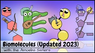 Biomolecules Updated 2023 [upl. by Nuahs]