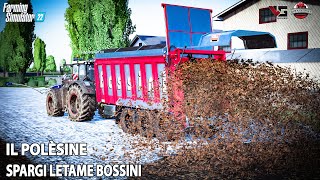 IL POLESINE COMPRIAMO LO SPARGI LETAME BOSSINI  FS22 ALEXFARMER [upl. by Annahahs201]