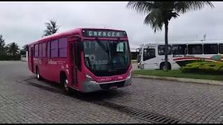 CONHEÃ‡A O Ã”NIBUS ROSA DA SALINEIRA UM TRABALHO CONSCIENTIZAÃ‡ÃƒO AO COMBATE CÃ‚NCER DE MAMA [upl. by Nivan]