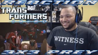 Transformers Prime Season 3 Episode 3  Prey  REACTION [upl. by Eerpud188]