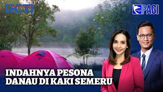 Surga Tersembunyi di Kaki Semeru Ada Danau Cantik Dikelilingi Pohon Cemara  SIP 2009 [upl. by Dilks]