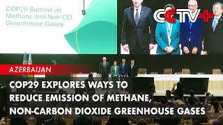 COP29 Explores Ways to Reduce Emission of Methane NonCarbon Dioxide Greenhouse Gases [upl. by Nirol]