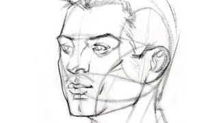 How to Draw the Head from Any Angle [upl. by Elleahcim]