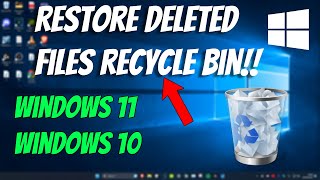 How To Restore Deleted Files From the Recycle Bin [upl. by Llerrut963]