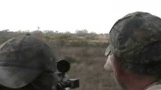 L amp L Hunting Service Nilgai Hunting with the Barrett 416 [upl. by Hamil848]