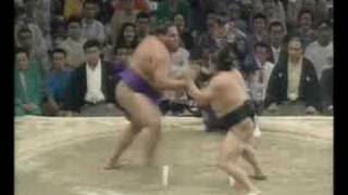 Akebono vs Wakanohana  Nagoya 1993 [upl. by Enimsay]