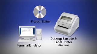 Print labels easily with Ptouch Template tool of Brother Professional Label Printer [upl. by Boucher992]