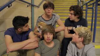 One Direction QampA Part 2 [upl. by Ocsic]