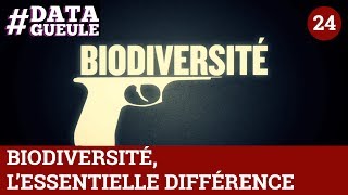 Biodiversité lessentielle différence  DATAGUEULE 24 [upl. by Kablesh900]