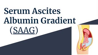 Serum Ascites Albumin Gradient SAAG Explained Causes Interpretation amp Clinical Use Novice Medic [upl. by Gainer]