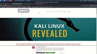 Pinebook Pro Kali Linux 2020 [upl. by Armil]