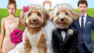 My DOG got MARRIED In Real Life [upl. by Hesky]