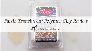 Polymer Clay Review Pardo Translucent ArtClay Review [upl. by Atnas731]