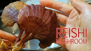 How To Make Reishi Mushroom Tea Ling Chi Ling Zhi [upl. by Mcginnis983]