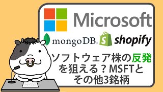 ソフトウェアの反発を狙える？、マイクロソフトとその他3銘柄【20240628】 [upl. by Belmonte]