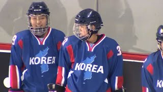 Pyongyang Olympics Protests over joint Korean hockey team [upl. by Lati172]