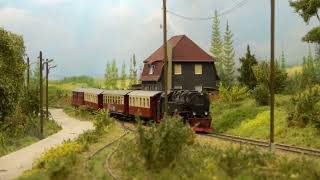 MODELSPOOR EXPO MTD TREINENCLUB EDEGEM 2024  Part 3 [upl. by Eeslek358]