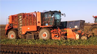 1991 Holmer KRBS sixrow tanker sugar beet harvester  Classic farm machinery  TerraDos forerunner [upl. by Etnud]