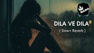 Dila Ve Dila Slow Reverb New tiktok viral trending remix Bass boosted indian Punjabi Sad Song 2024 [upl. by Bolton]