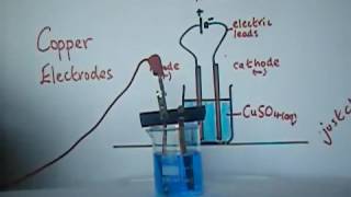 Solution Electrolysis Copper II Sulfate using copper electrodes [upl. by Ewer445]