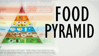 What is the Food Pyramid Food Pyramid explained in 2 Minutes [upl. by Nerot821]