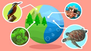 Natural Habitats and Ecosystems  Compilation Video  Science for Kids [upl. by Noyk]