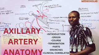 AXILLARY ARTERY ANATOMY MADE EASY WITH CLINICAL CORRELATES [upl. by Eibur]