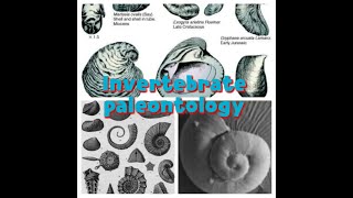 Invertebrate fossils [upl. by Atiuqer499]