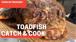 TOADFISH CATCH amp COOK ALSO SPRAINED MY ANKLE [upl. by Nigen]