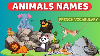 Learn the names of Animals in French basic French vocabulary [upl. by Merceer]