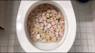 Will it Flush  Iced Animal Crackers [upl. by Haland860]