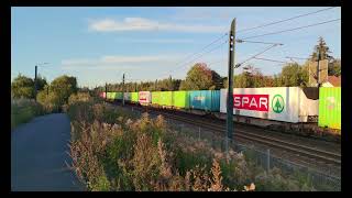 Norwegian Trains  Oslo S and Lindeberg  VY  Flytoget  SjNord  Freights [upl. by Dolora]