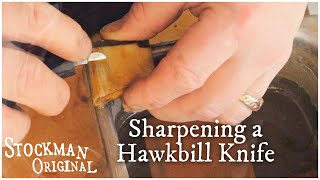 How to Sharpen a Hawkbill Knife for Scrimshaw [upl. by Eelana]