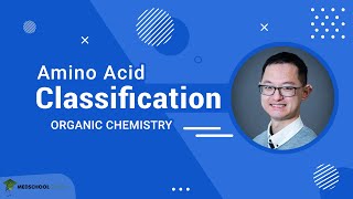 Classification of Amino Acids [upl. by Atirb]