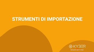 Gestionale magazzino retail iKYBER  Strumenti di importazione [upl. by Tonl646]