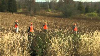 Wingshooting Safety  Bird Hunting Tip [upl. by Retnuh470]