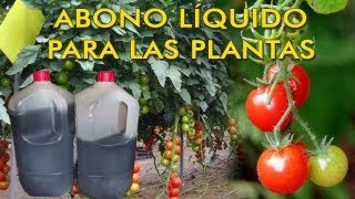 ABONO LÍQUIDO PARA TUS PLANTAS A PARTIR DE ESTIERCOL [upl. by Taylor853]