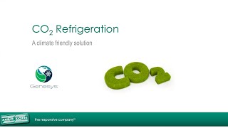 Natural Refrigerant Webinar Series CO2 Is the Future Here [upl. by Llovera]