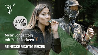 Reinecke richtig reizen Lockjagd mit Fuchslockern  Jagdtipps aus der Praxis [upl. by Moyers]