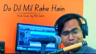 Do Dil Mil Rahe HainFlute Cover by Md Salim With Sarfuddin Flutes [upl. by Tongue]