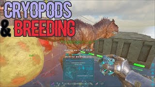 Breeding with Cryopods  Ark Official PVP  Small Tribes [upl. by Flosser]