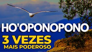 HOOPONOPONO 3 VEZES MAIS PODEROSO PARA ATRAIR TUDO O QUE DESEJA [upl. by Rimhsak888]